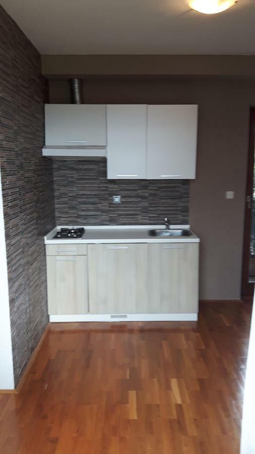 Lili'S House Apartman Ližnjan Kültér fotó