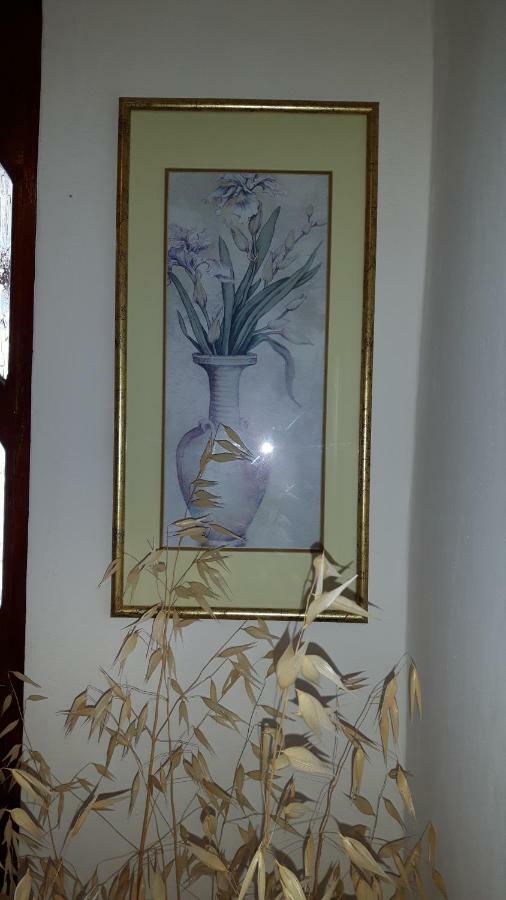 Lili'S House Apartman Ližnjan Kültér fotó